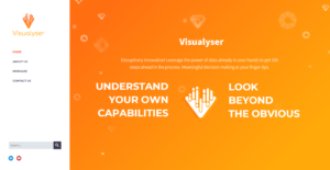 VisualyserWeb 300x155