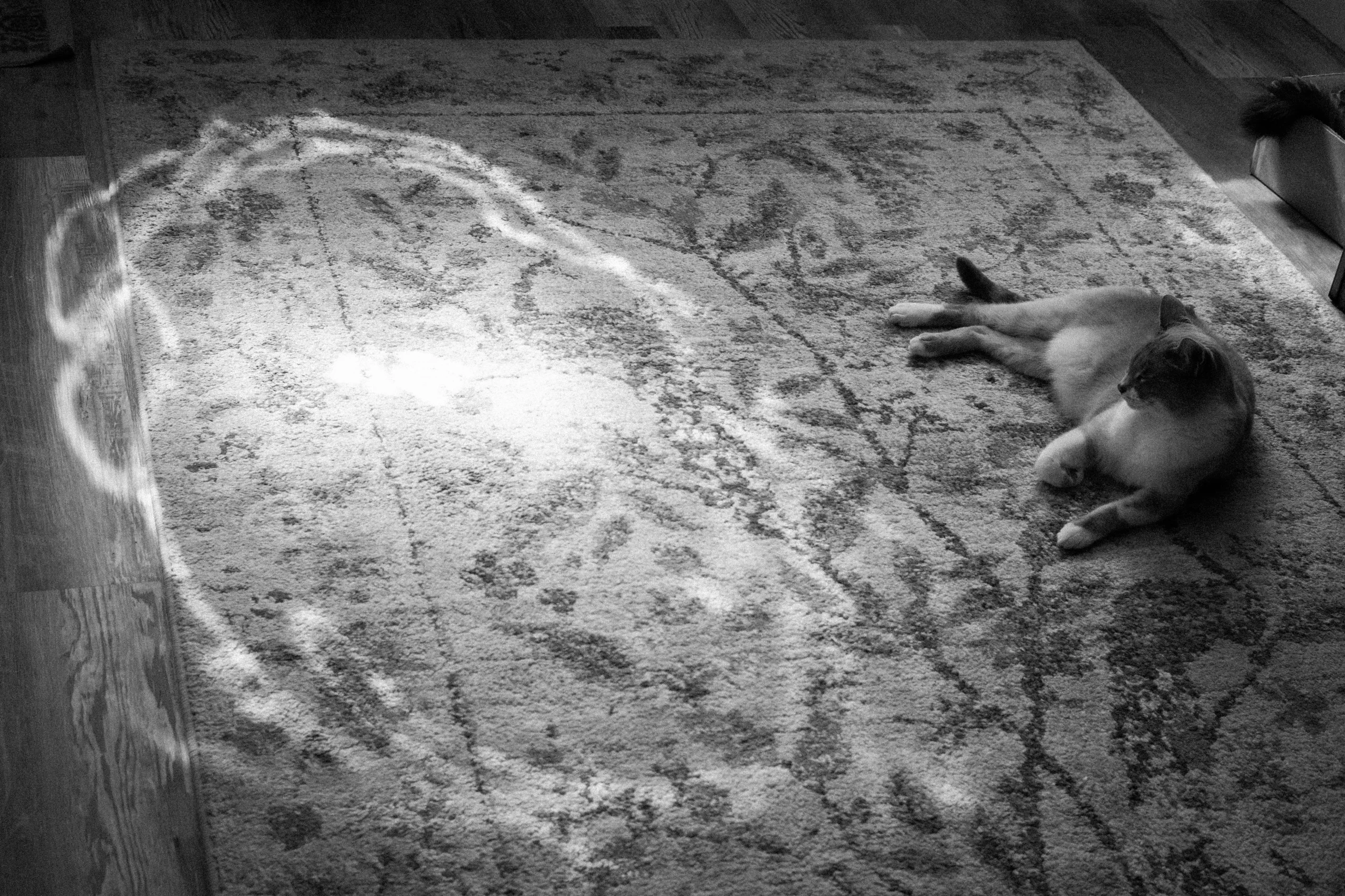Visual Narrative villarrealphillip aworkingartist 006