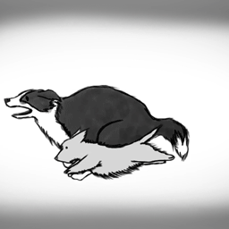 Dogsx2
